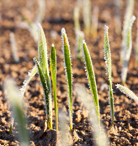 Omaha Helicopter Frost and Ice